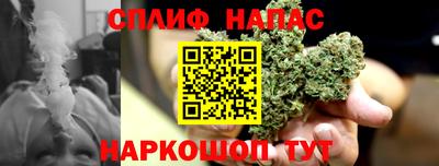гашик Бузулук