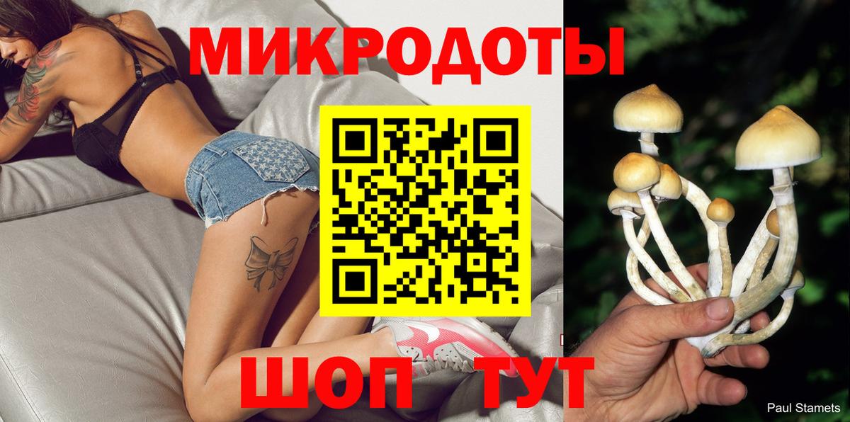 Псилоцибиновые грибы мицелий Карасук