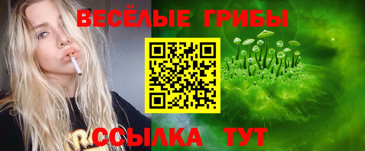 Карасук  Псилоцибиновые грибы Psilocybine cubensis  Галлюциногенные грибы MAGIC MUSHROOMS  Вход с VPN 